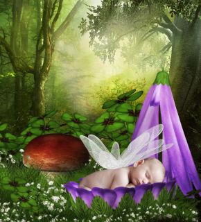 Digital backgrounds & photography props   Fairy wings studio 1