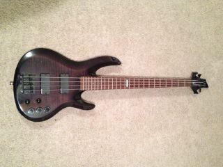 ESP LTD B 304 Bass Guitar