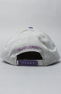 DGK The DGK State Of Mind Snapback Hat in Athletic Heather and Purple