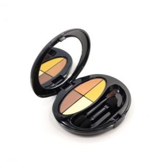 Shiseido The Makeup Silky Eye Shadow Quad in Q12 Wood Tones 08 oz 2 5