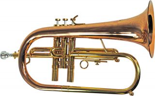 Schiller Flugelhorn Centertone Rose Brass