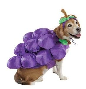 pet grapes costume funny food wine dog halloween new