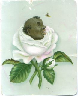  White Rose Bee Tradecard 1889 Finnegan Clothiers Meriden Ct