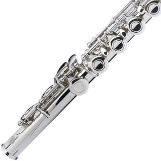 Cecilio 2SERIES FE 280N Nickel Plated C Flute $39TUNER