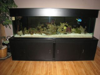 Oceanic 250 Gallon Fish Tank Aquarium Loaded Look