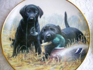 Franklin Mint Dog Plates Black Lab & Golden Retriever James Killen