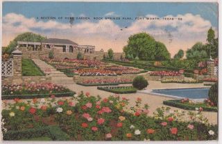 Fort Worth Texas Postcard Rock Springs Park Rose Garden Scene 1942