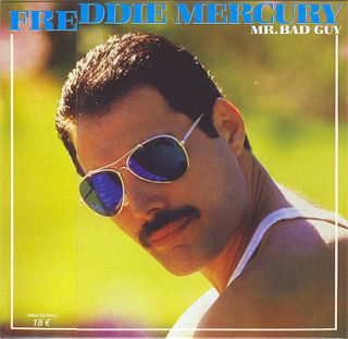 disagree with the shipping policy freddie mercury mr bad guy