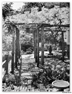 1968 Mid Century Modern Old School Garden Design Plants Lawns Rock