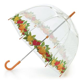 Fulton Birdcage Ladies Walking Length Clear Dome Umbrella Full Range