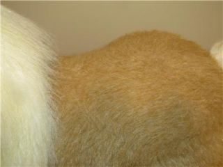 FurReal Friends Butterscotch 3 ft Pony Horse Discontinued RARE Toy