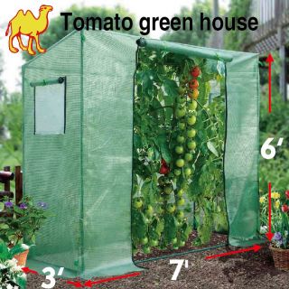  Outdoor Tomato Green House Planting Gardening Garden Greenhouse