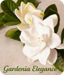 CBD Gardenia Elegance Perfume Oil Rollon Tropical Blend
