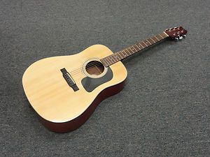  George Washburn D 10 N Acoustic Guitar