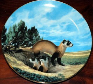 George Will Nelson LtdEd Plate Black Footed Ferret