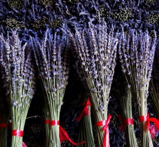 Price for 1bunch 45cm tall approx 130g   140g dry Lavender bunches