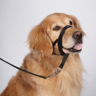 Guardian Gear Head Collars No Pull Dog Training Unique Head Control