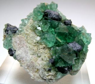  Rogerley Mine Quality Green Fluorite Galena