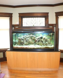 120 Gallon Reef Saltwater Glass Fish Tank with Granite Top Stand Sump