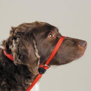 Gentle Leader Headcollars Complete Systems for Dogs