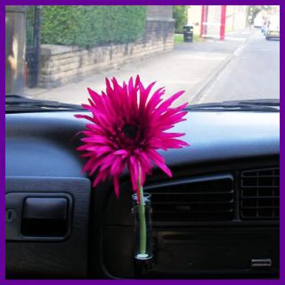 Gerbera Flower with Without Car Vase Beetle Daisy Style