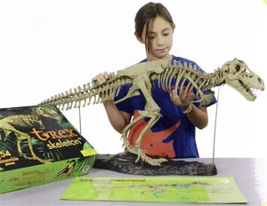 Trex T Rex Tyrannosaurus Skeleton Science Kit Geoworld