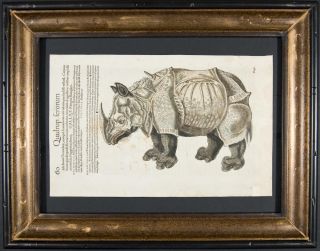 Gesner 1560 Framed Folio Woodcut Rhinocerus 60