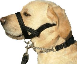 Kumfi Head Halter Gentle Leader Collar for Pulling Strong or Excitable