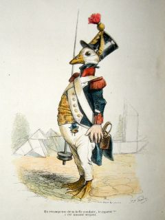 Grandville Des Animaux 1842 Hand Col Print Sergeant GOOSE