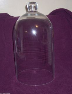 Collectible Huge Glass Cloche Dome Taxidermy Doll Display