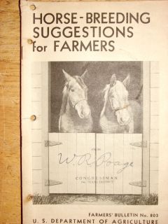 VINTAGE1917 Farm Bul 803 Horse Breeding Sug for Farmer