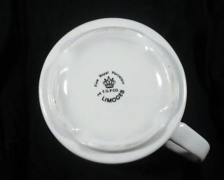 Limoges Fine Royal Porcelain Tea Cup Hieroglyphics