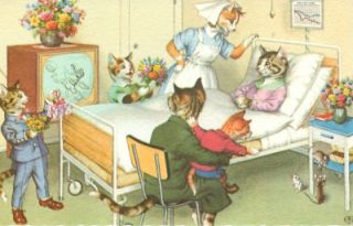  MAINZER color postcard DRESSED CATS Hospital MICE Nurse Eugen Hartung