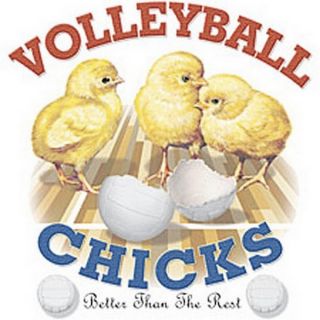 Funny Gift Cute Volleyball Chicks Girls T Shirt LS SS Many Colors s