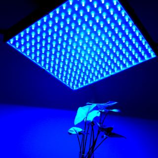 HQRP 225 Blue LED Grow Light Panel for Indoor Grow Green house
