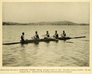 1900 Print Harvard University Rowing Crew Coxswain Sweep Coxed Four A