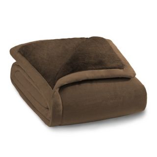 ComfortTech 3M Thinsulate Albany Micromink Blanket in Chocolate