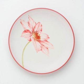 Noritake Colorwave Raspberry 8.25 Clematis Accent Plate  