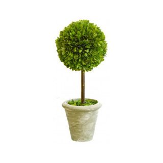 Mills Floral Box Mixed Topiary   858SS0120 / 859SS0120
