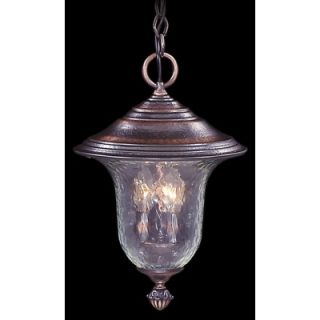 Framburg Carcassonne Outdoor Hanging Lantern   8326 8331