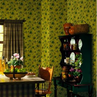  Fashions Northwoods Pine Cone Trail Wallpaper in Yellow   145 62637