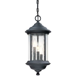 Dolan Designs Walnut Grove Outdoor Hanging Lantern in Black