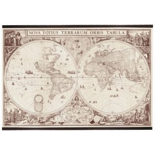 Authentic Models World Map   1660