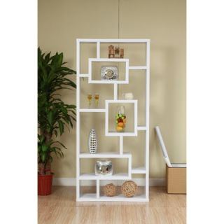 Hokku Designs Bradshaw Unique Bookcase / Display Cabinet in White