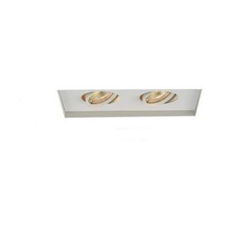 Two Light Recessed Trimless Multi Spot for MT 216 in White