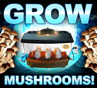 Hydroponic Mushroom Growing Home Kit Beginners Chefs Grow Pounds Like