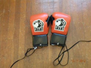 Custom Color 10oz Grant Boxing Gloves