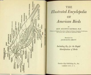  Encyclopedia of American Birds, Leon Augustus Hausman,HC/DJ