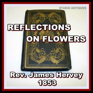 reflections on flowers 1853 rev james hervey book an antiquarian