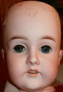 Huge Carl Hartman German Bisque Doll Head Perfect 14 Circ Sleep Eyes